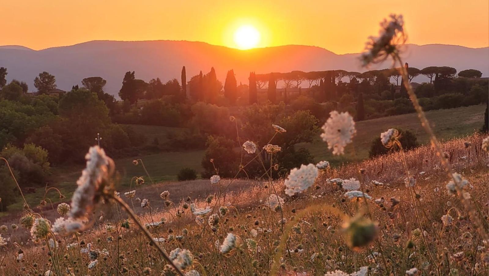 La Villa Dei Fiori San Rocco a Pilli Exterior foto